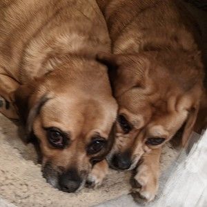 Meet your Posher, Sonja